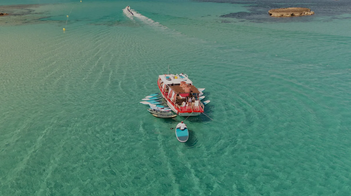 Charter privado Salvador Ibiza